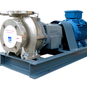 EBARA Horizontal End Suction Volute Process Pump